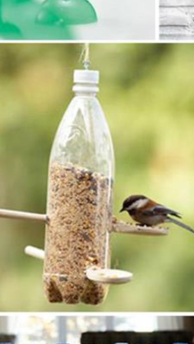 water bottle bird feeder Lubbock Cultural District